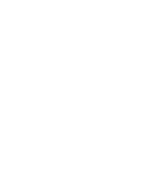social travel logo
