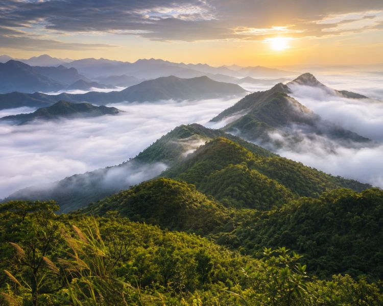 The majestic natural beauty eagerly awaits your discovery