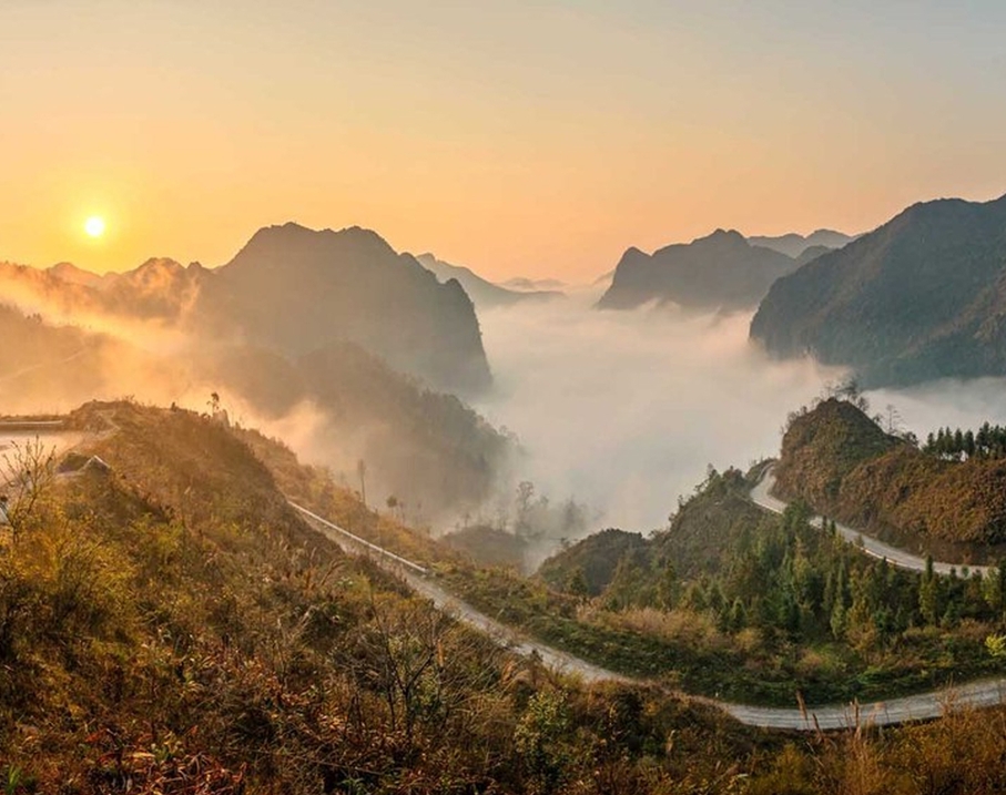 Yen Minh Pine Forest 